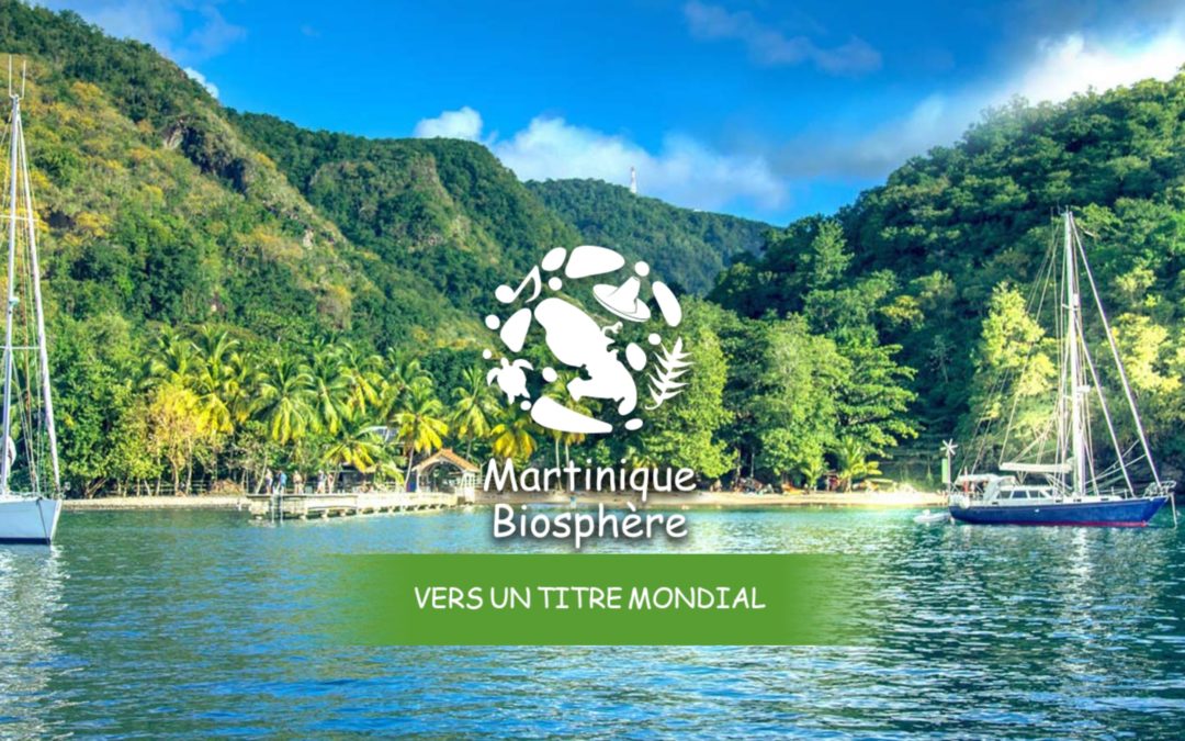 Martinique Réserve de Biosphère : une initiative citoyenne pour développer durablement la Martinique